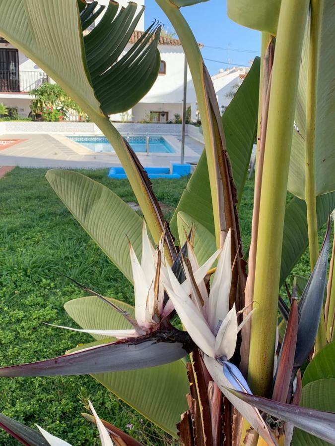 Casa Maria Villa Nerja Eksteriør bilde